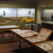 Ausstellung der regionalen Tierwelt