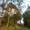 Langsam gibt das Herbstlaub den Blick auf das romanische Bauwerk frei - Blick vom Wanderweg