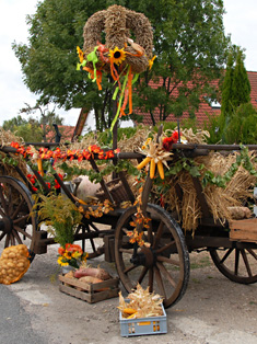 Zwebenforfer Erntewagen