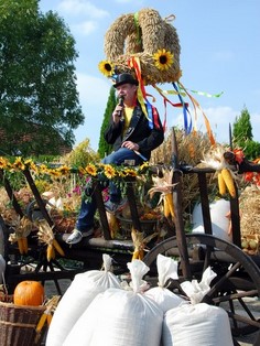 Auktionator Eberhard Leonhardt versteigert die Feldfrüchte des Erntewagens (Foto: Henning Mertens)