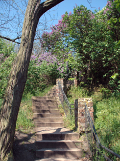 Eine steile Treppe führt hinauf zum Plateau des Landsberger Kapellenbergs (Foto: Henning Mertens)